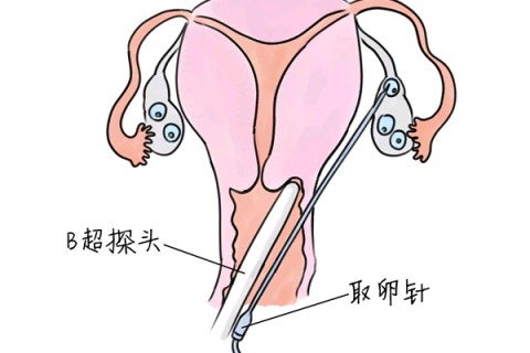 http://www.huochezhan.net/post/205.html|武汉供卵助孕