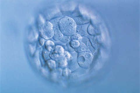http://www.huochezhan.net/post/200.html|武汉新闻中心